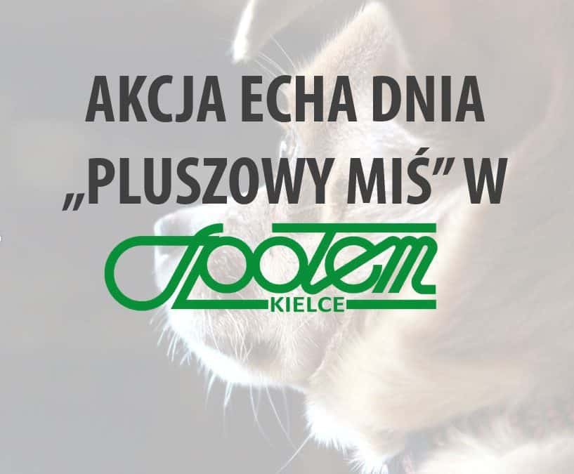 Akcja ECHA DNIA – PLUSZOWY MIŚ!