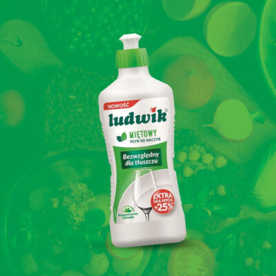Płyn do mycia naczyń Ludwik mięta 450g Inco-Veritas